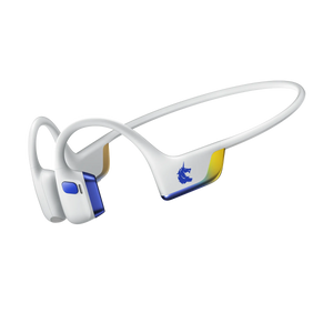 Boston Marathon® Co-branded Edition / Standard