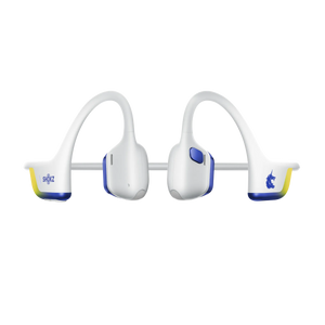 Boston Marathon® Co-branded Edition / Standard