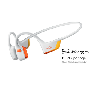 Kipchoge Co-branded Edition / Standard