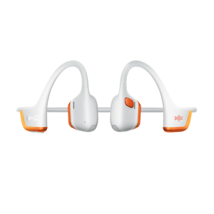 Kipchoge Co-branded Edition / Standard